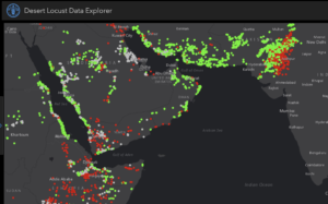 How To Track Desert Locust Swarms