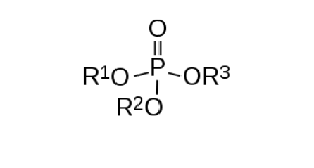 A Guide to Cholinesterase Inhibitors in Wake of Suspected Alexei Navalny Poisoning