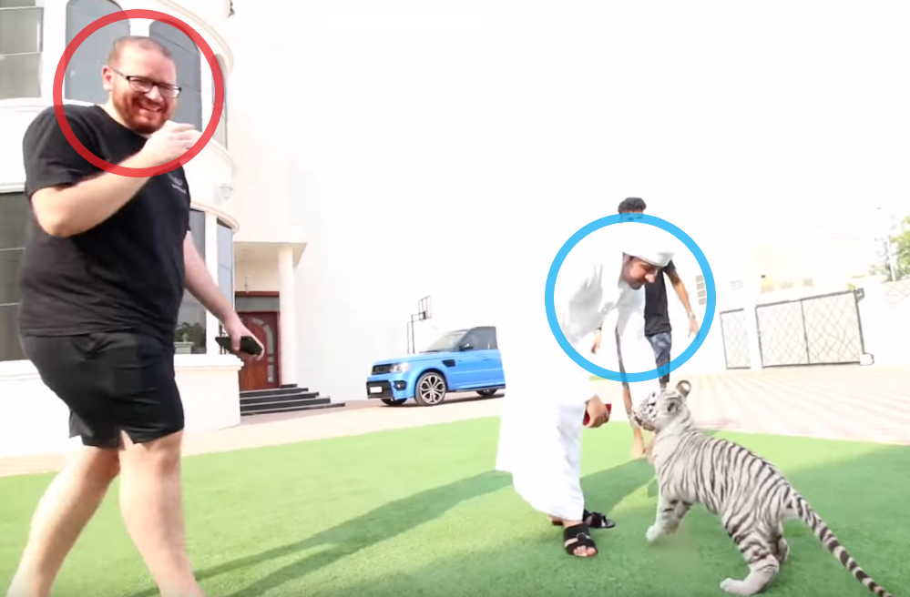 How Instagram Celebrities Promote Dubai's Underground Animal Trade -  bellingcat