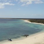 Paradise Costs: Why Barbudans are Fighting a Luxury Resort