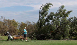 Satellite Images Show Extent of Trump Admin’s Tree-Felling at DC Golf Course, Despite &#8216;Furious&#8217; Judge’s Order