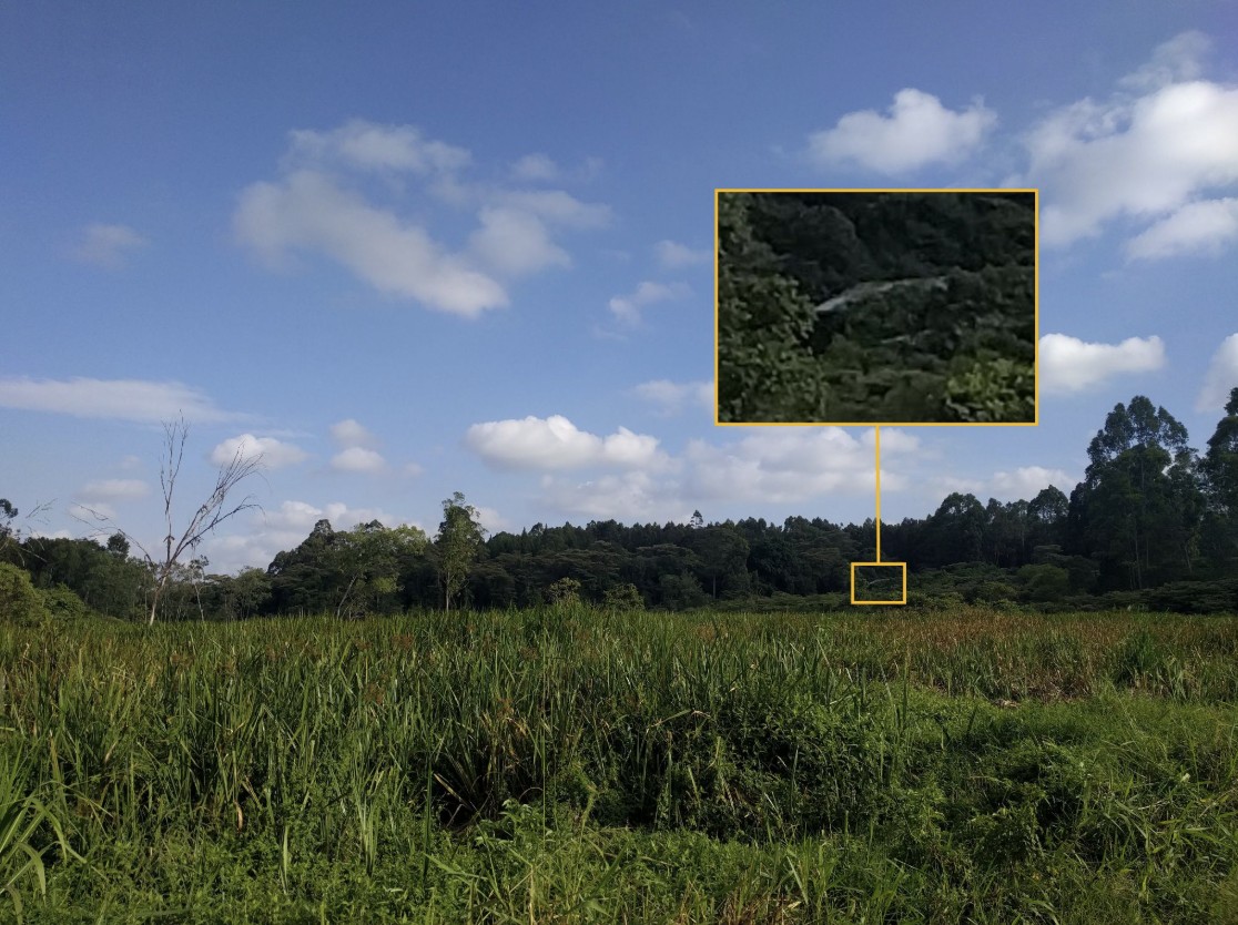 An example of a photo used for testing, with annotation added after the test to highlight the only man-made object visible. Credit: Bellingcat